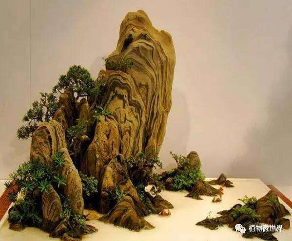 怎么制作山水盆景的3个方法