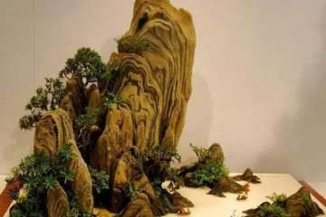 怎么制作山水盆景的3个方法