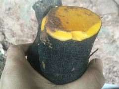 下山桩生怎么缠膜截桩要到位的方法