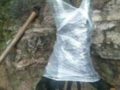 怎么区别下山桩生桩和熟桩的方法