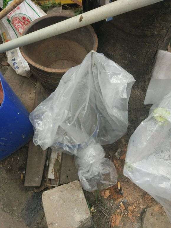 下山桩生桩套袋后要多少天喷水或者浇水