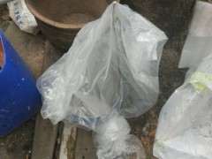 下山桩生桩套袋后要多少天喷水或者浇水