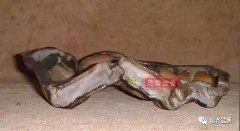 怎么制作丛林山楂盆景的方法