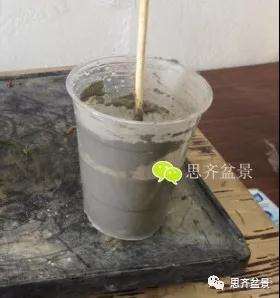 三角枫盆景的树洞怎么愈合的方法