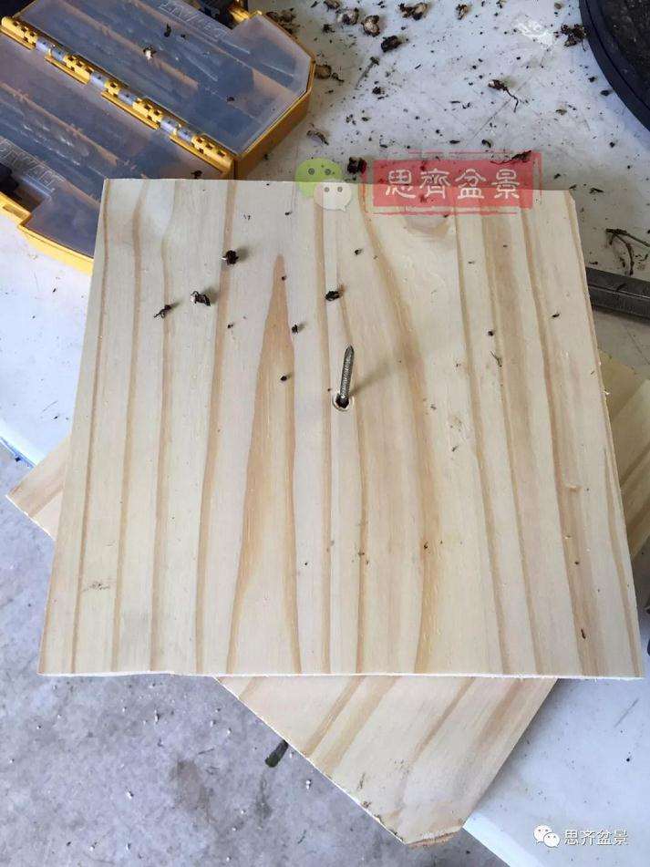 盆景根部怎么磐根修剪的方法