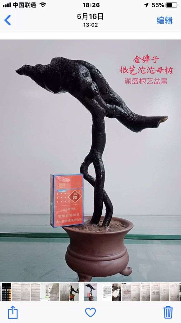 这个下山桩生桩现在可以嫁接么