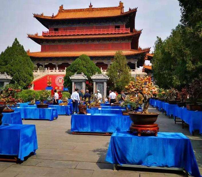 许昌市首届大型盆景展开幕