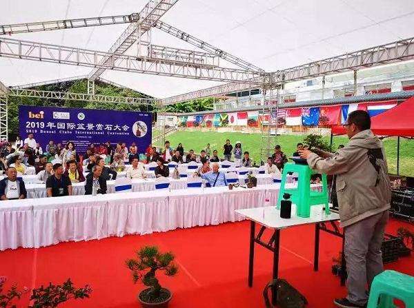 2019年 BCI国际盆景赏石大会贵阳会场