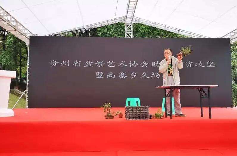 2019年 BCI国际盆景赏石大会贵阳会场