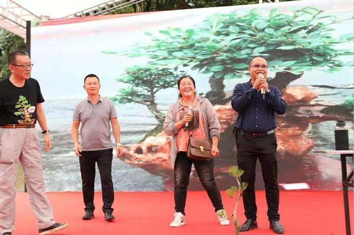 2019年 BCI国际盆景赏石大会贵阳会场