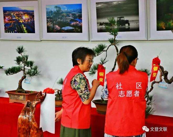 文登区盆景根艺摄影作品展