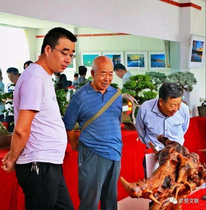 文登区盆景根艺摄影作品展