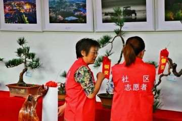 2019年 文登区盆景根艺摄影作品展