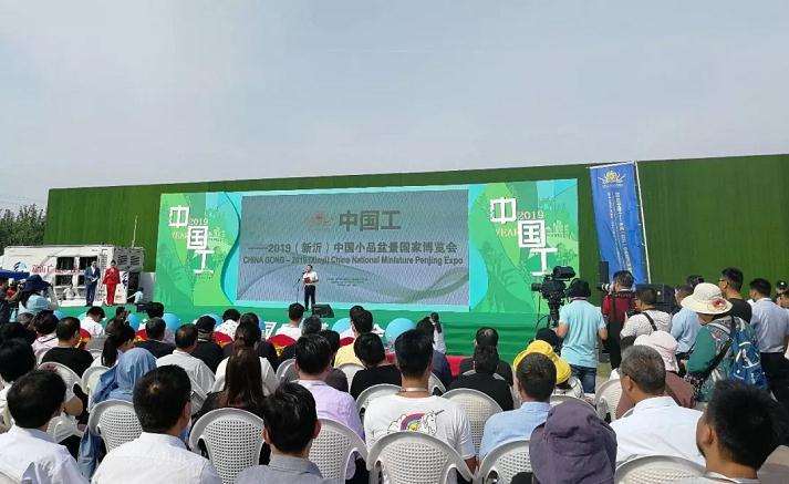 上海植物园首届微型小品盆景展