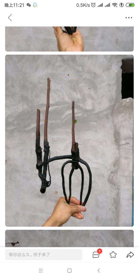 下山桩生桩可以直接嫁接么