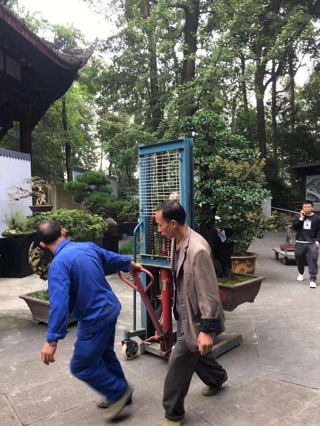 四川省第十一届盆景精品展明日开展