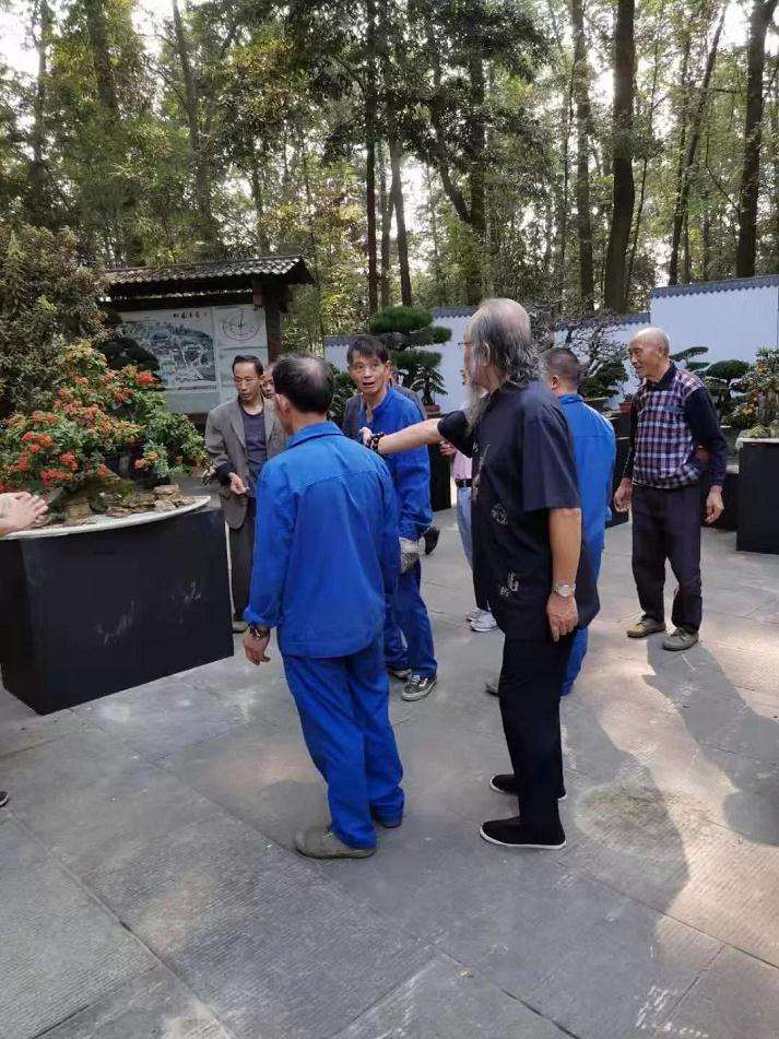 四川省第十一届盆景精品展明日开展