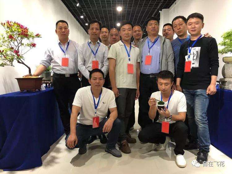 2019年 嵩县第三届国庆盆景技艺观摩会