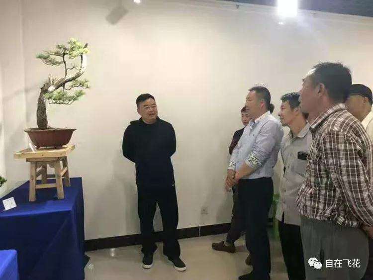 2019年 嵩县第三届国庆盆景技艺观摩会