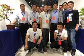 2019年 嵩县第三届国庆盆景技艺观摩会