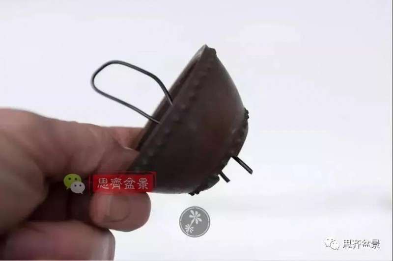 小型真柏盆景怎么修剪的方法