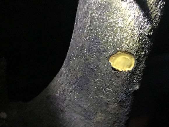 下山桩生桩缠膜发霉