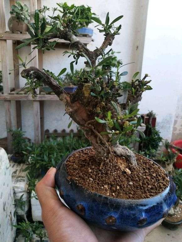 下山桩改造过程 挖下山后清理干净