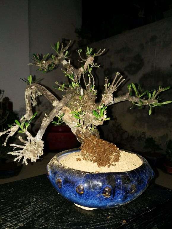 下山桩改造过程 挖下山后清理干净