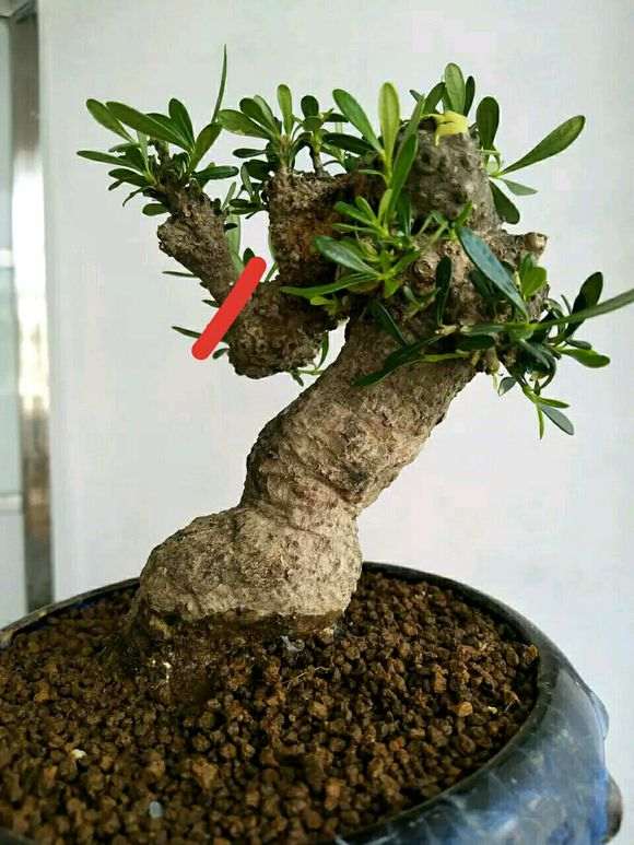 下山桩改造过程 挖下山后清理干净