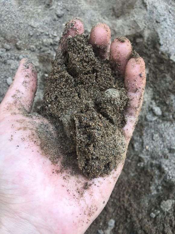 用细河沙种下山桩生桩可以吗