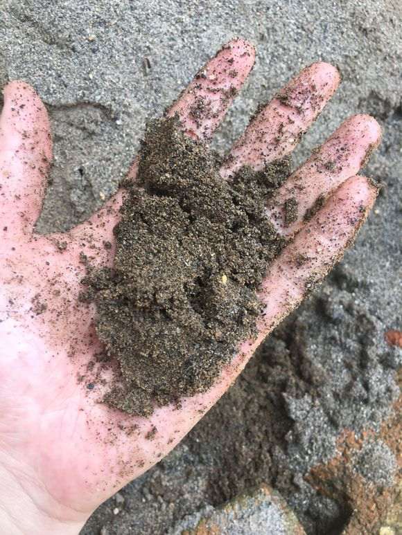 用细河沙种下山桩生桩可以吗