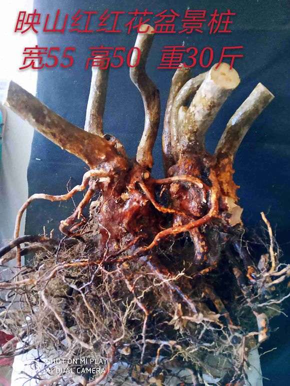 很多下山桩爱好者往往有2个误区