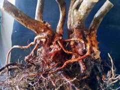 很多下山桩爱好者往往有2个误区