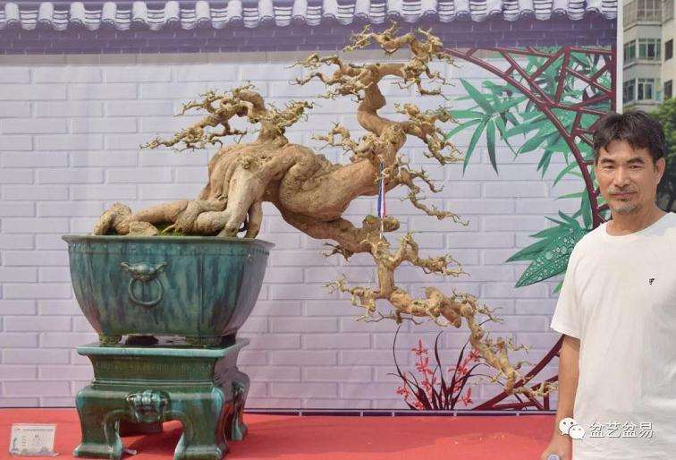 沙湾镇盆景协会第五届盆景艺术精品展