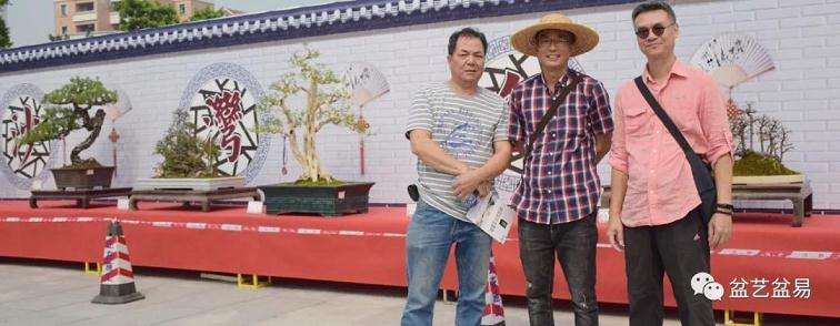 沙湾镇盆景协会第五届盆景艺术精品展