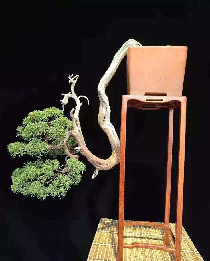 江苏省徐州市唐店街道盆景产业园