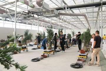 全国盆景制作技艺比武今天开赛