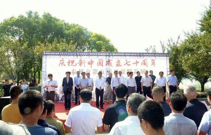 泰州市第五届盆景精品展开幕式