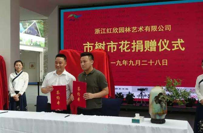 温州市盆景技艺非遗继承人 林鸿鑫大师