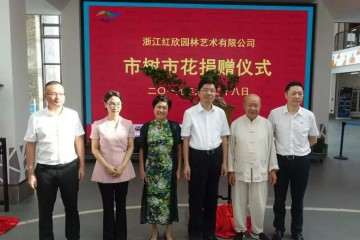 温州市盆景技艺非遗继承人 林鸿鑫大师