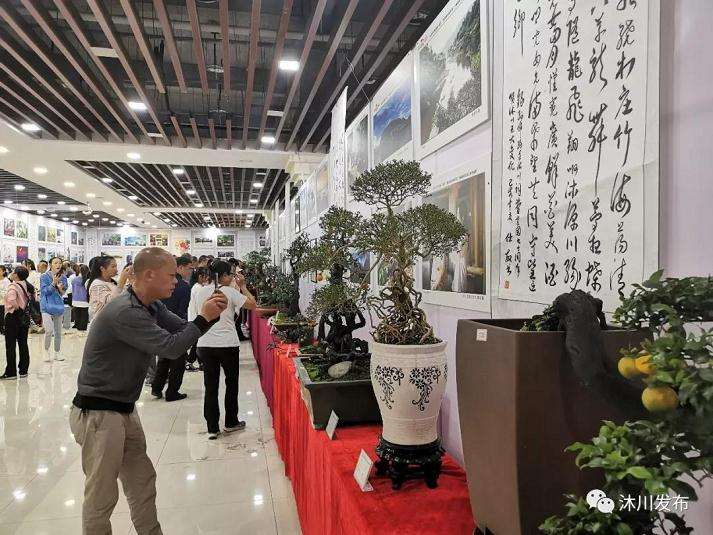 2019年 沐川书画摄影盆景艺术展开展
