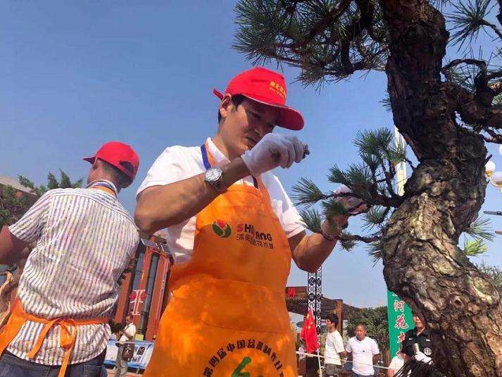 上海植物园参加中国首届盆景职业技能竞赛