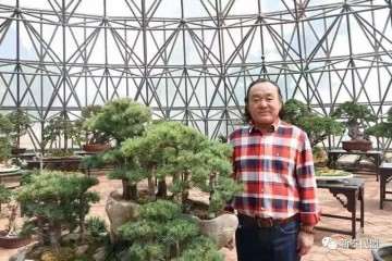 新泰市盆景赏石分会副秘书长 范义成