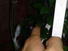 你听谁说的下山桩生桩要控水 为什么