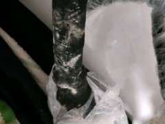 下山桩生桩套袋发霉怎么办