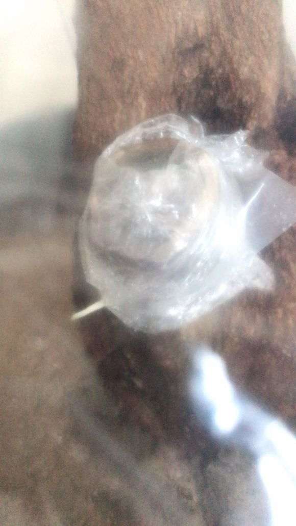 这个三角枫下山桩造型怎么样