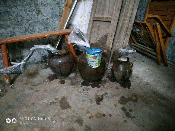 秋季下山桩成活后怎么浇水的方法