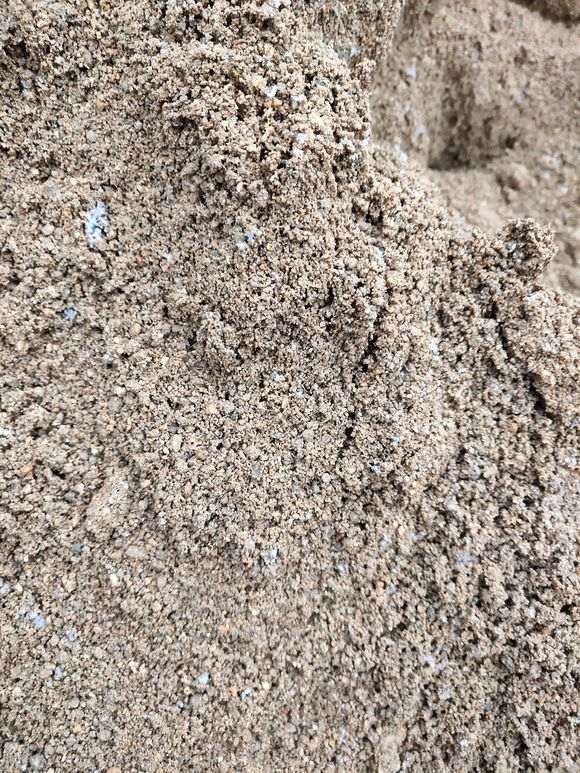 这样的黄沙种植下山桩生桩怎么样