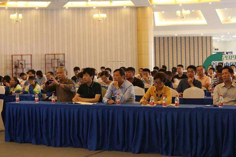 从盆景的三重境界谈盆景制作的学习方法