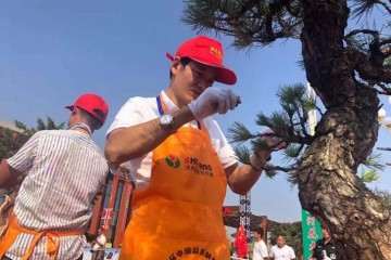 上海植物园参加中国首届盆景职业技能竞赛
